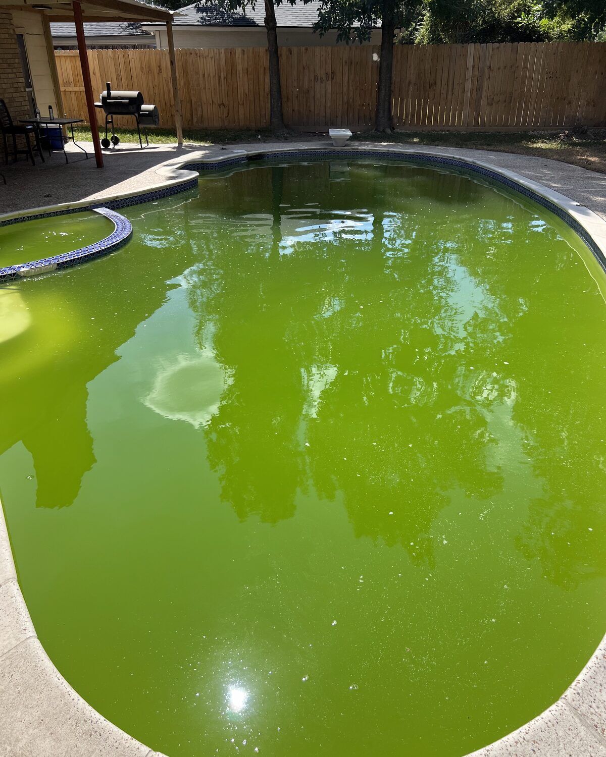 Green algae pool before Retro Ink Pools green-to-clean recovery in Cypress, TX