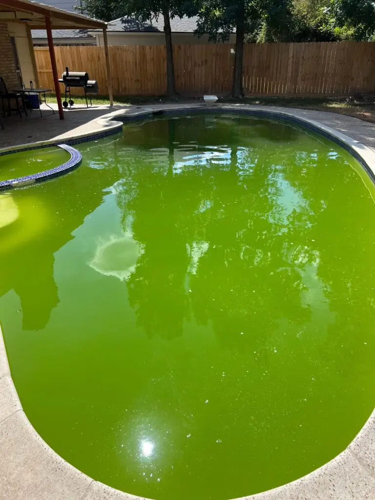 Pool Image Before Cleaning